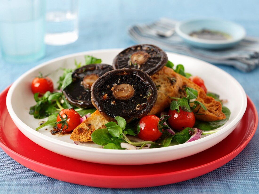 Toast topped with mushrooms and tomatoes