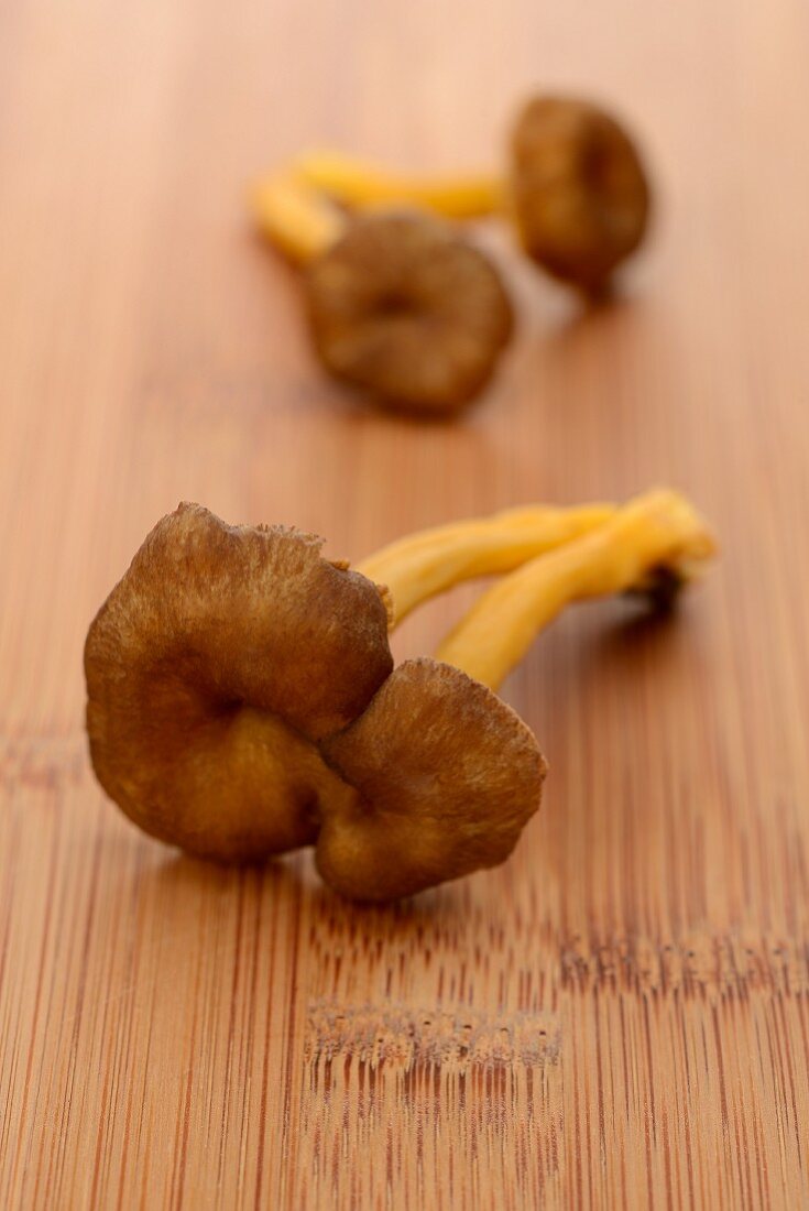 Fresh chanterelle mushrooms on a wooden surface