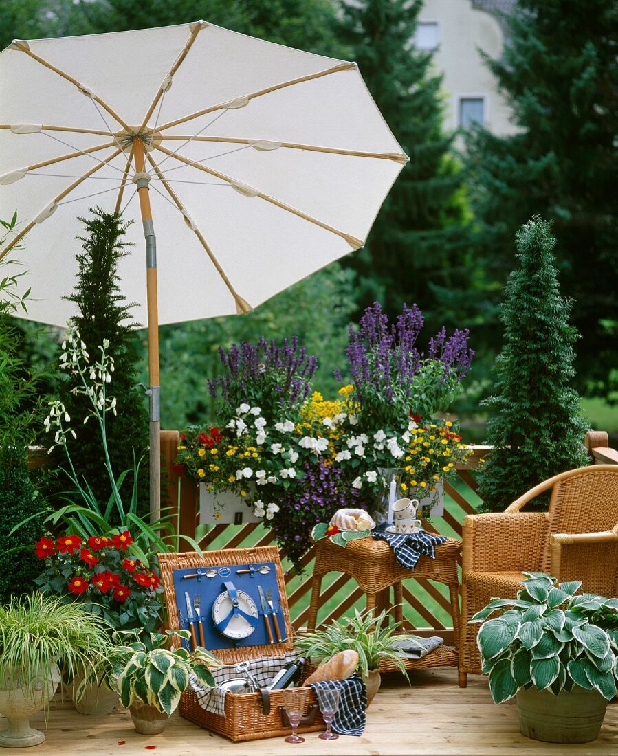 Wicker furniture, picnic basket, parasol and various plants on balcony