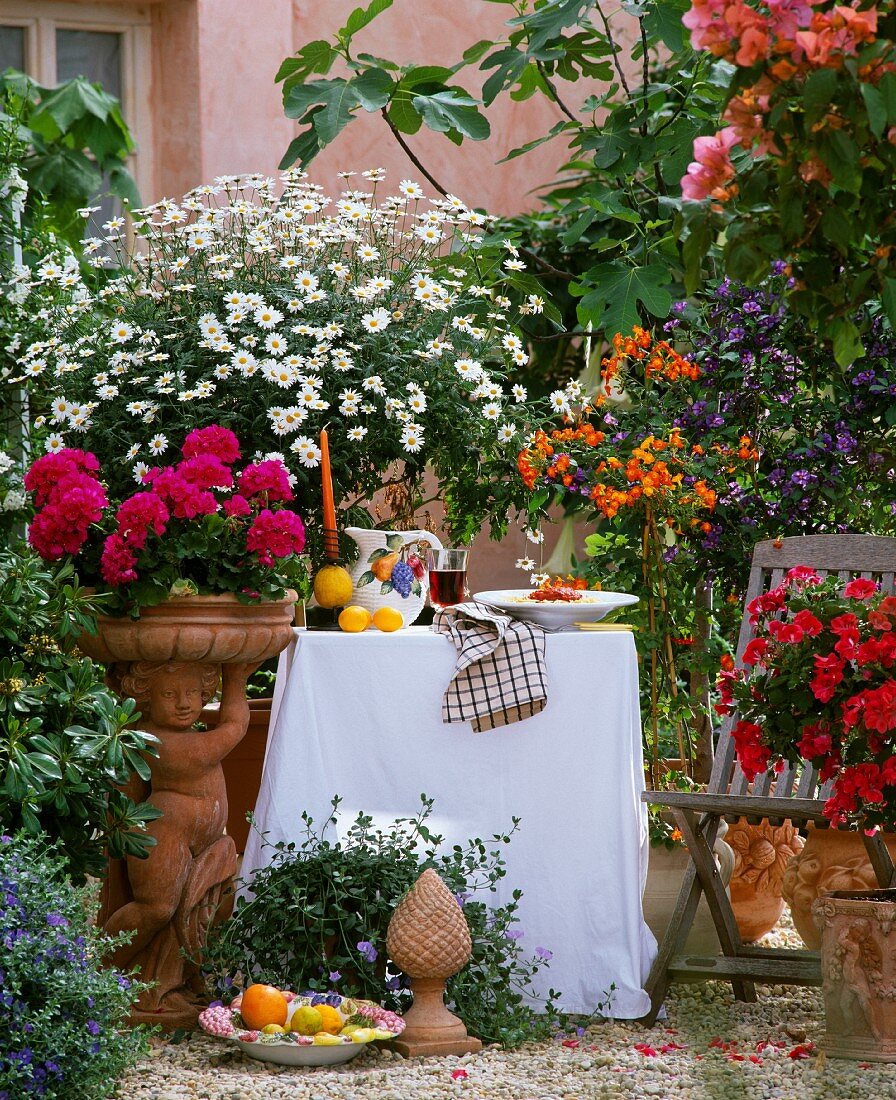 Tuscan atmosphere on a balcony: geraniums, ox-eye daisies, marmalade bush (Streptosolen), blue rock bindweed (Convolvulus), terracotta pots and cherubs