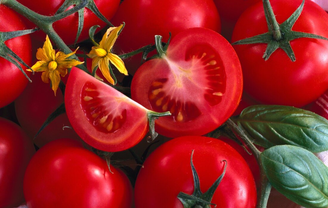 Tomaten mit Blüten und Basilikum (Close Up)