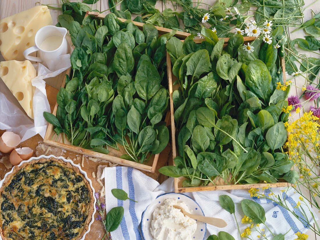 Spinach quiche with ingredients