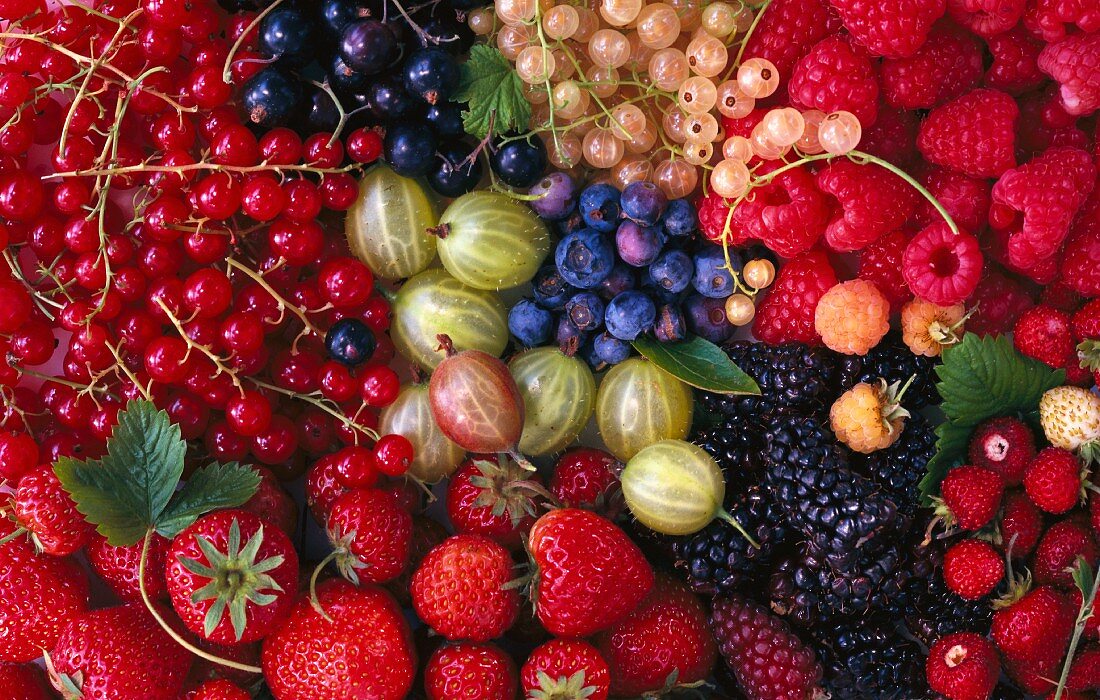An arrangement of berries (seen from above)