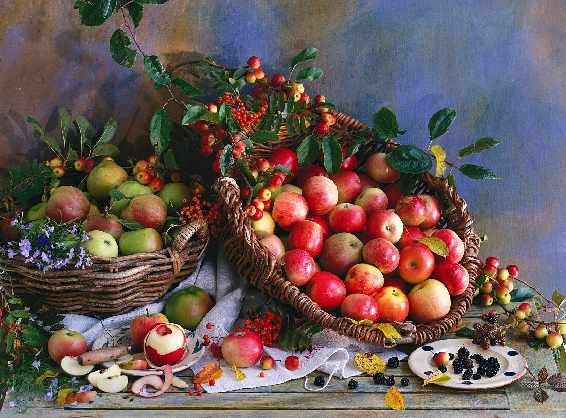 Herbstliches Stillleben mit Äpfeln, Zieräpfeln, Vogelbeeren und Brombeeren