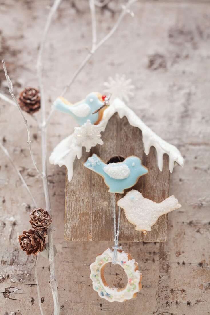 A birds house with bird biscuits