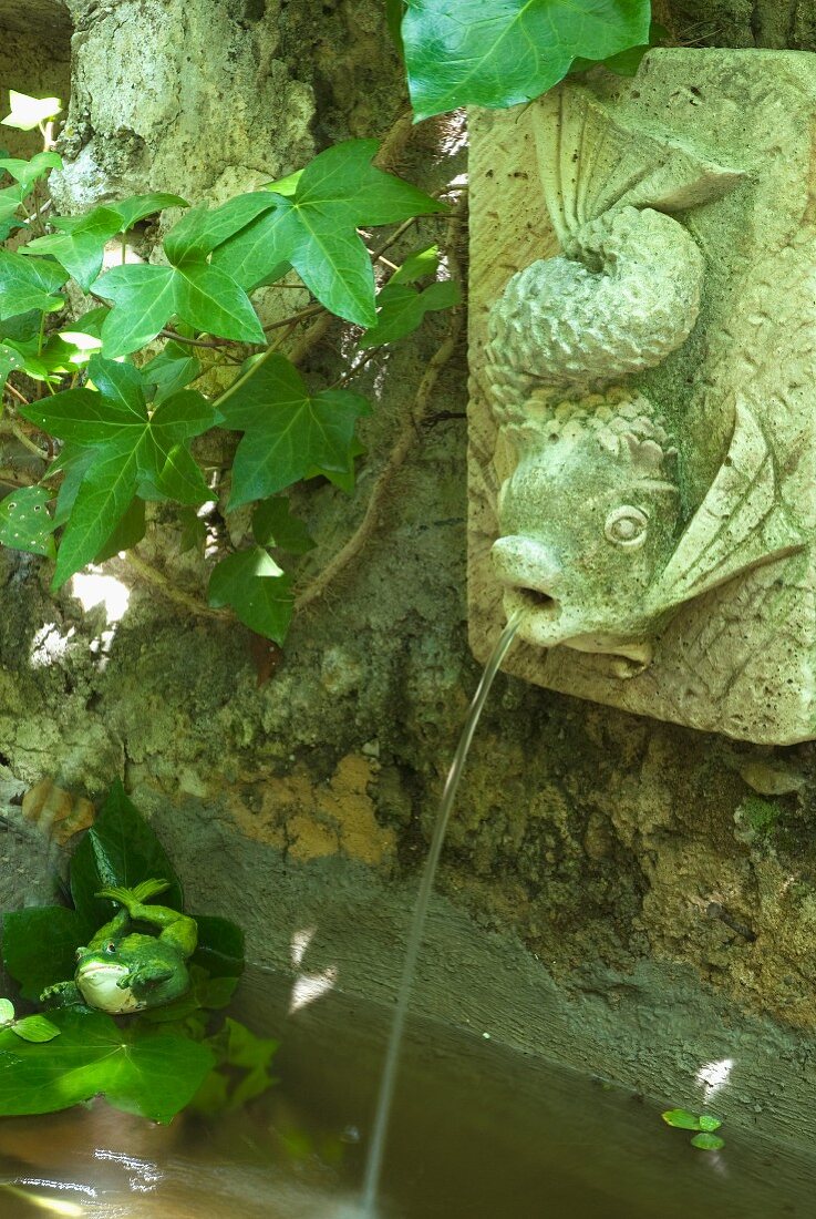 Fish-shaped waterspout on wall