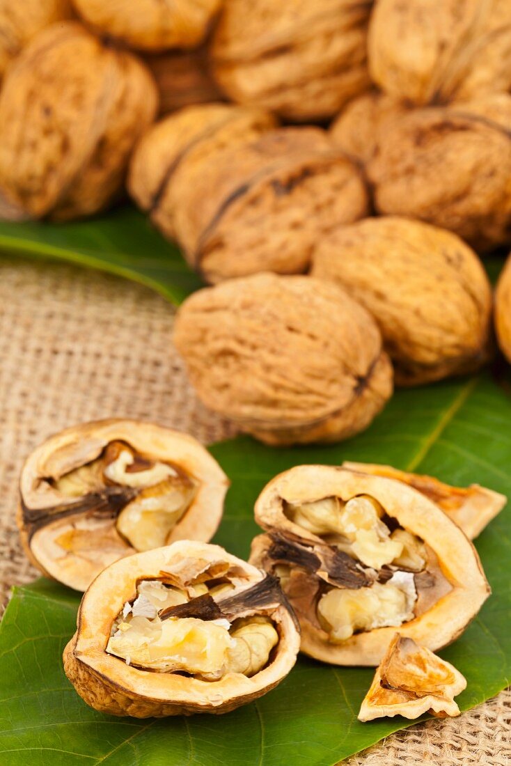 Whole and halved walnuts on a walnut leaf
