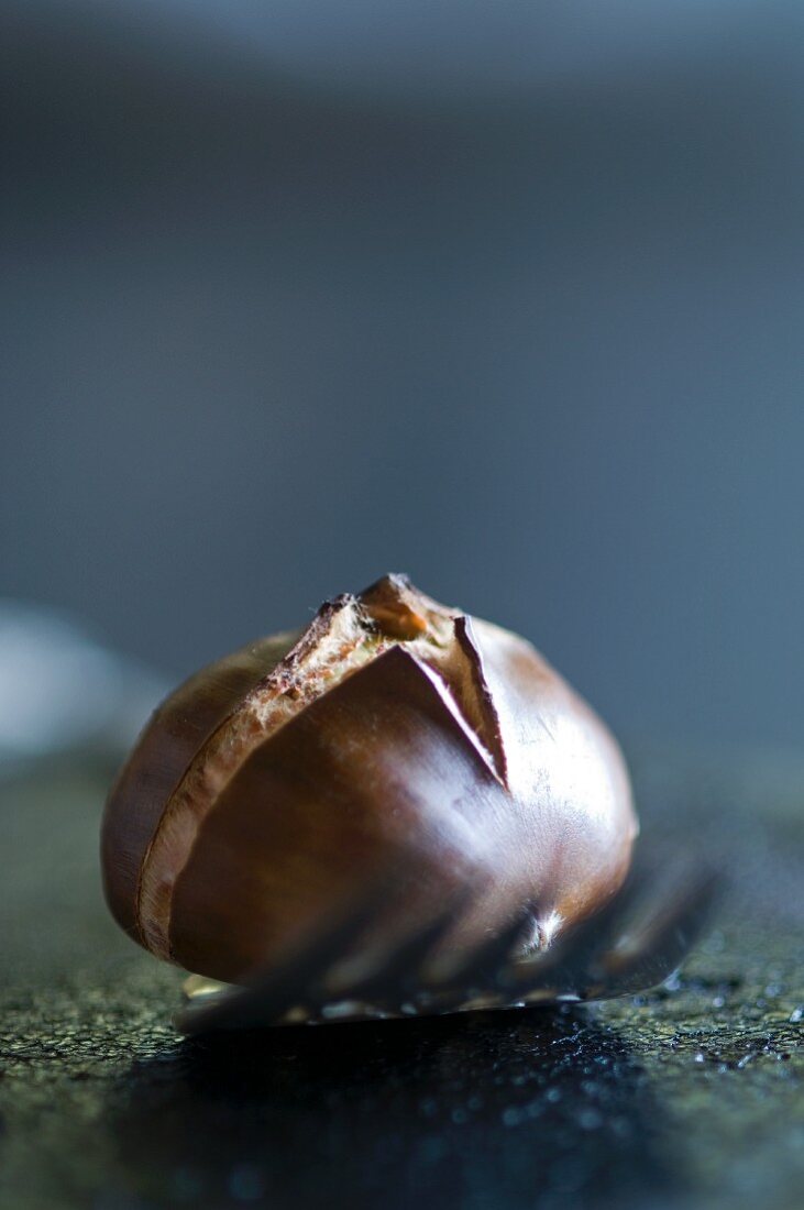 A roasted chestnut on a fork (close-up)