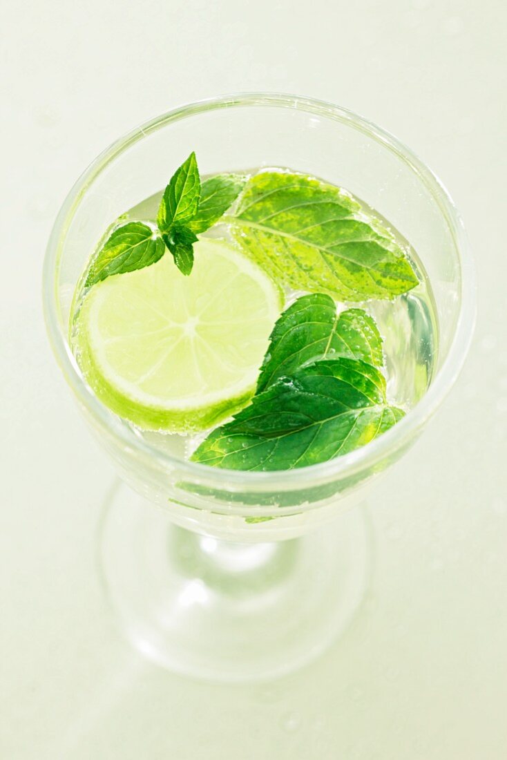 A Hugo cocktails with mint leaves and lemon slices