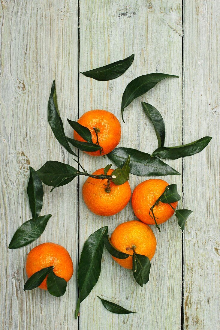 Mandarinen mit Blätter