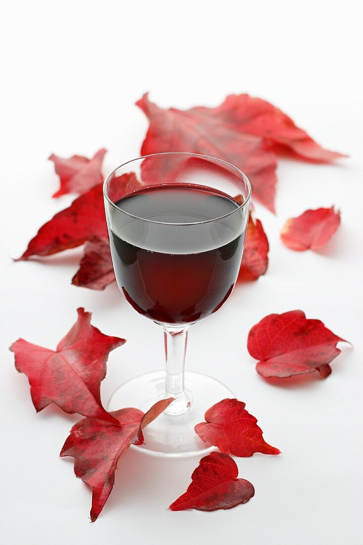 A glass of red wine surrounded by autumnal leaves