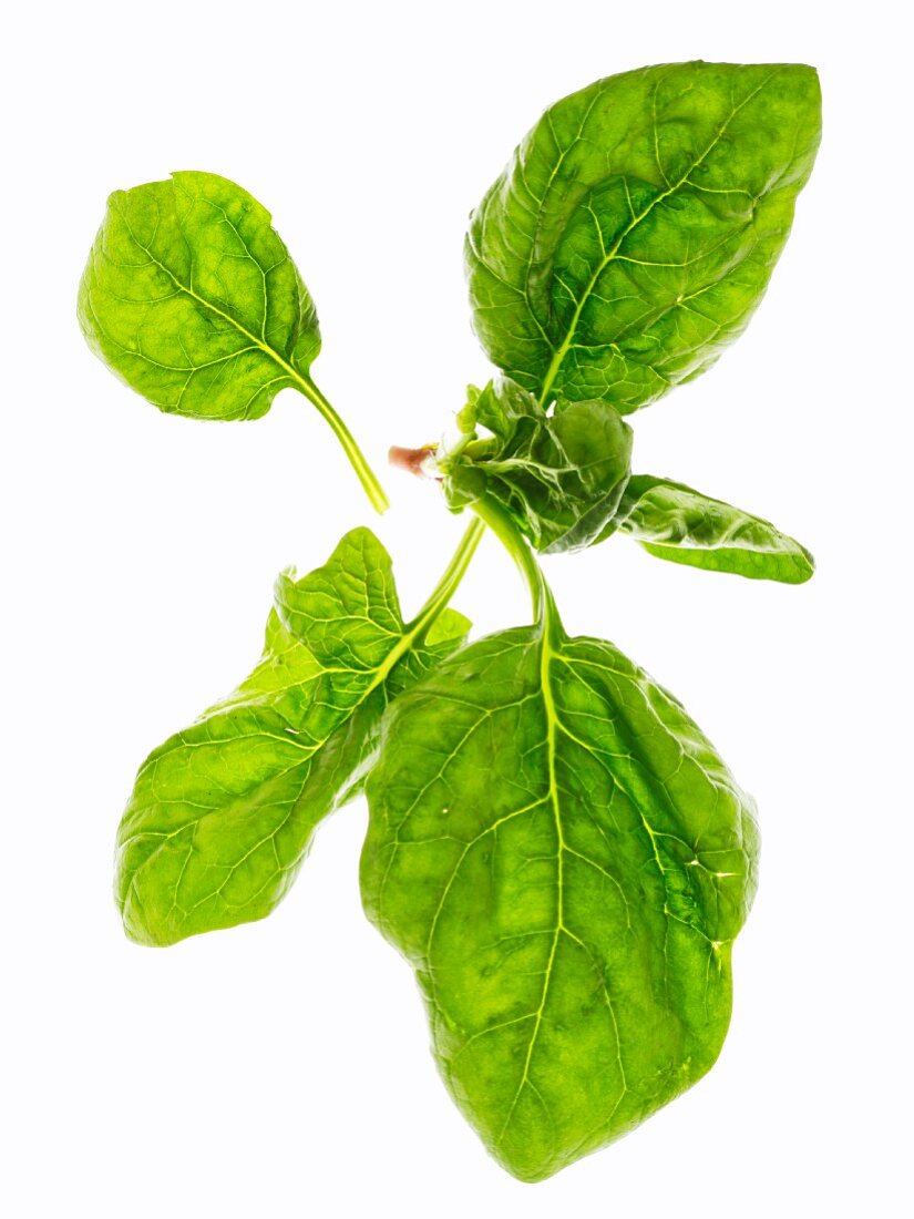 Spinach leaves on a white surface