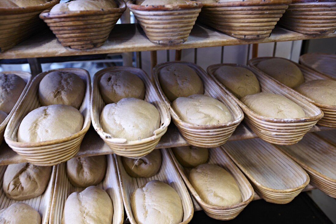 Bread dough rising in baskets