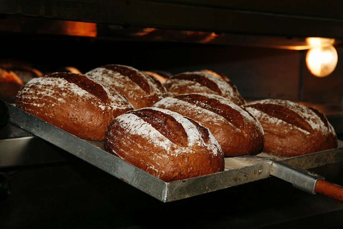 Freshly baked rye bread being removed from the oven