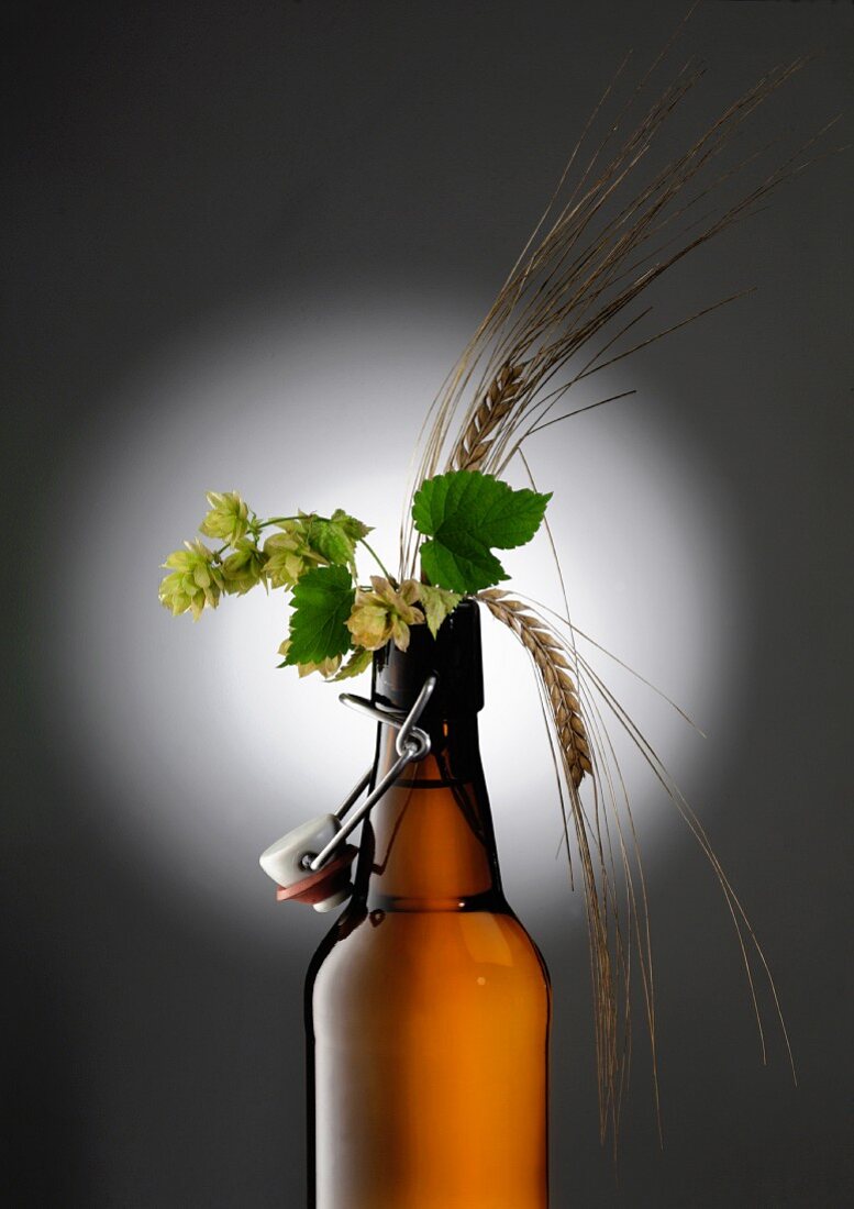 A beer-themed arrangement with hops and barley ears
