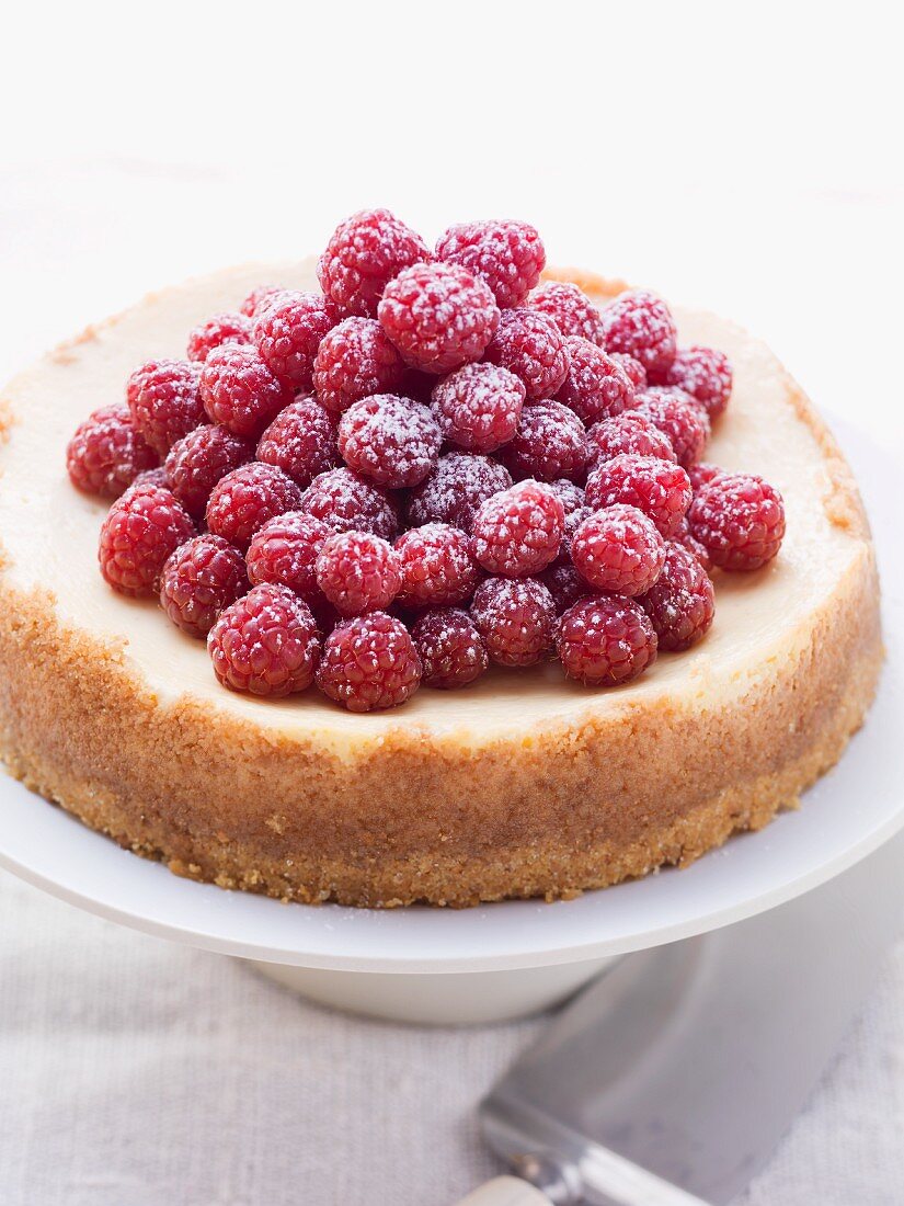 Cheesecake with fresh raspberries