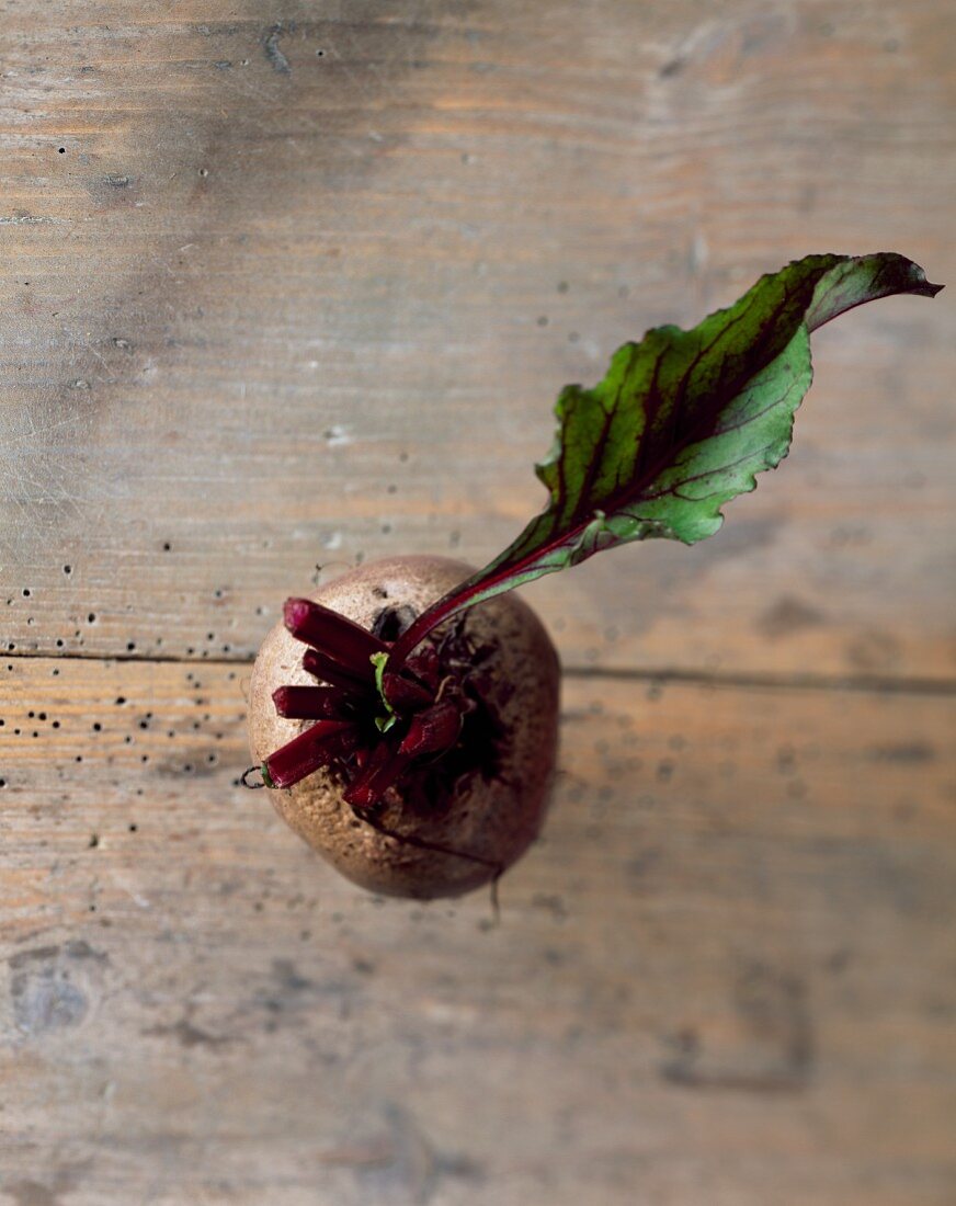 A beetroot with a leaf
