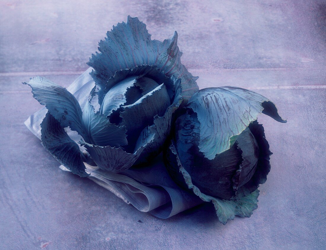 Two red cabbages