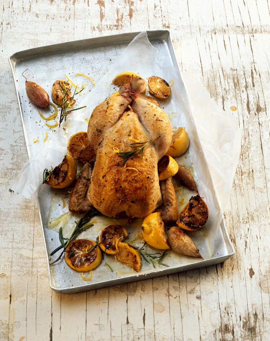 Lemon chicken with rosemary and shallots