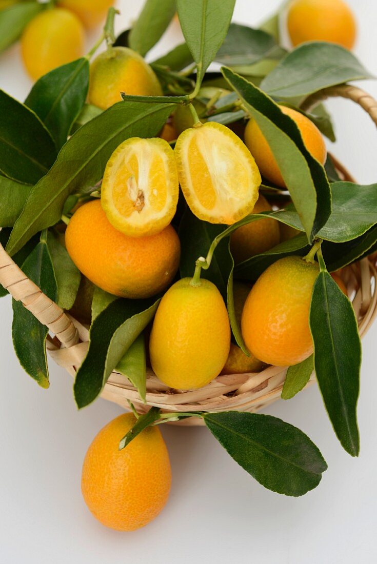 Kumquat am Zweig, eine halbiert