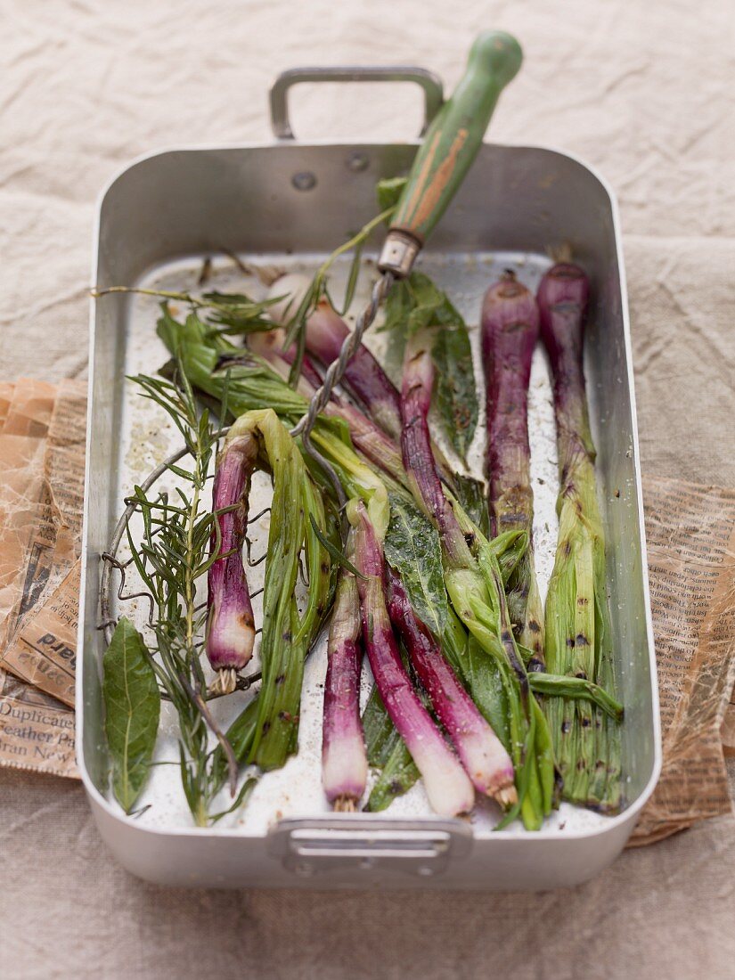 Grilled, red spring onions with herbs