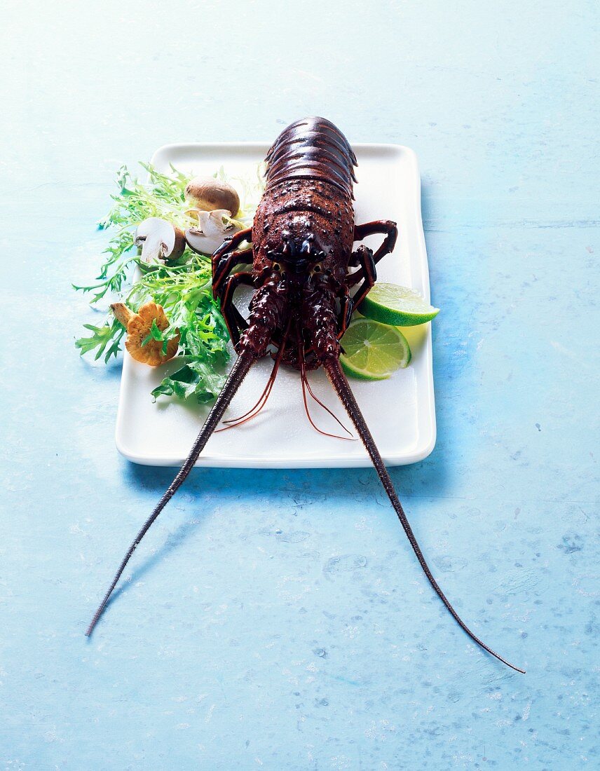 A crayfish with a salad garnish