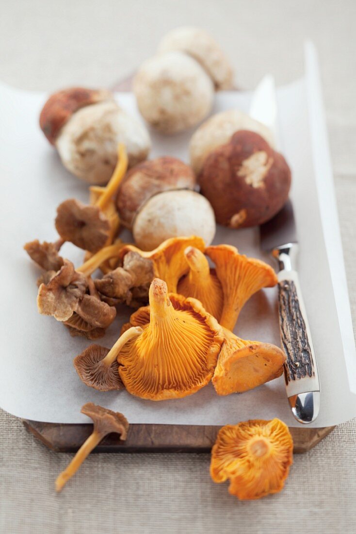 Fresh wild mushrooms on a piece of paper on a wooden board