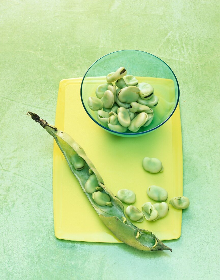 Bush beans and a bean pod