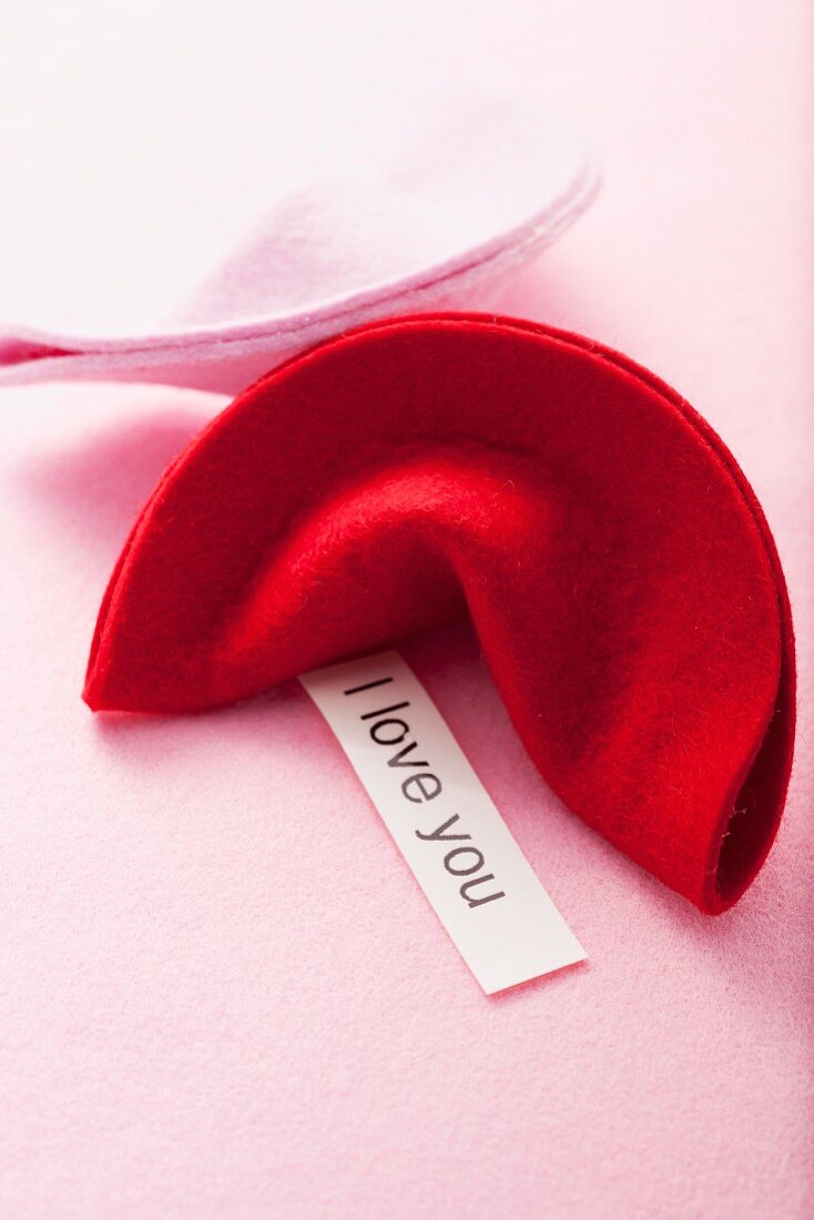 Felt, Valentine's Day fortune cookie