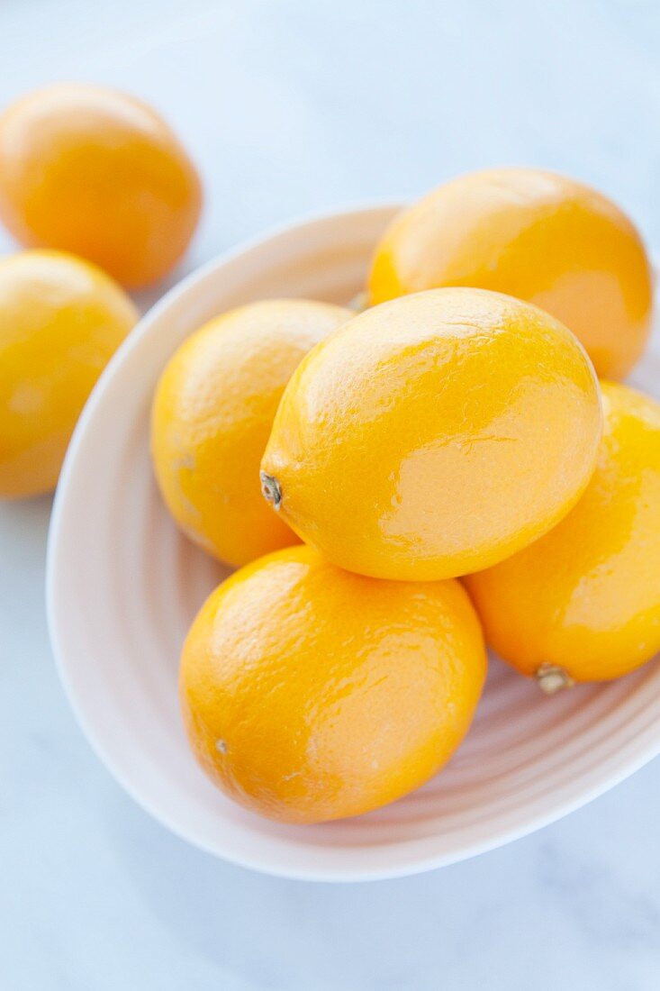Meyer Zitronen auf Teller