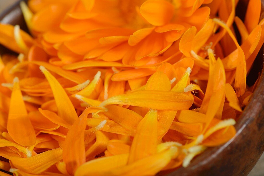 A dish of marigold petals