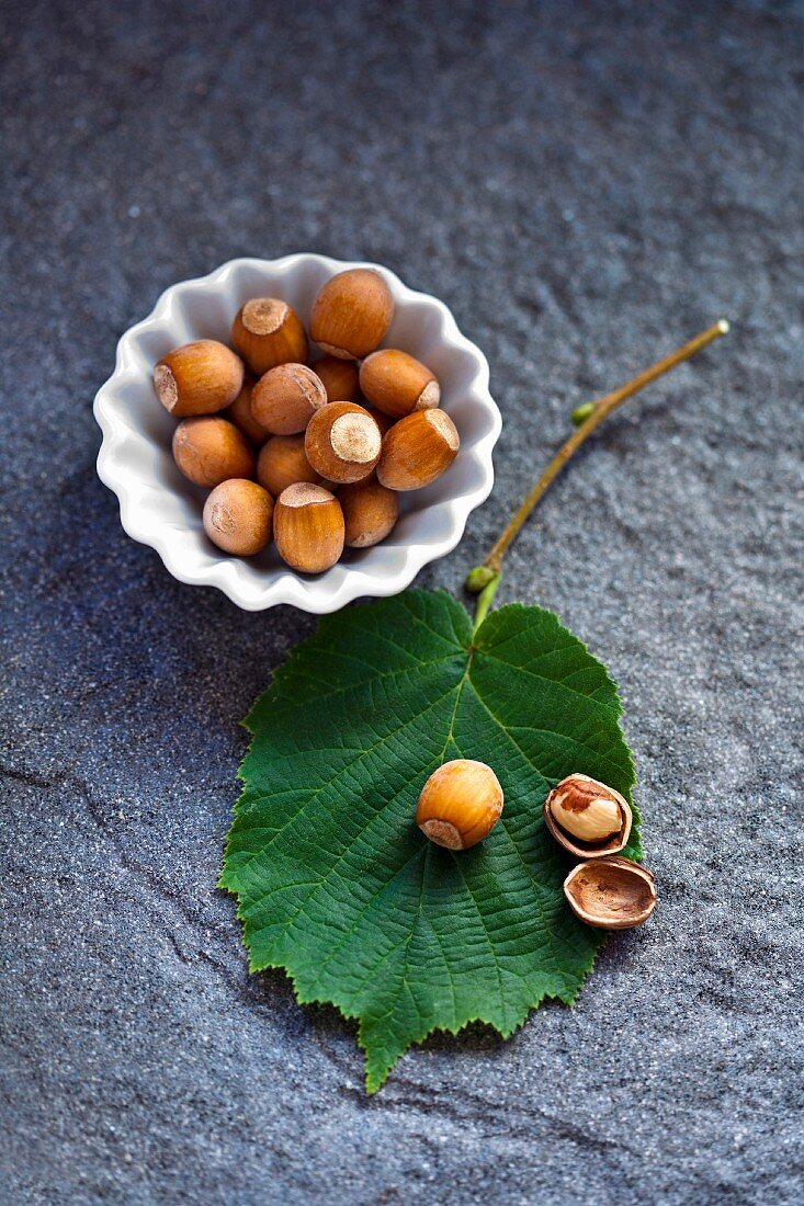 Hazelnuts and a hazelnut leaf on a stone surface