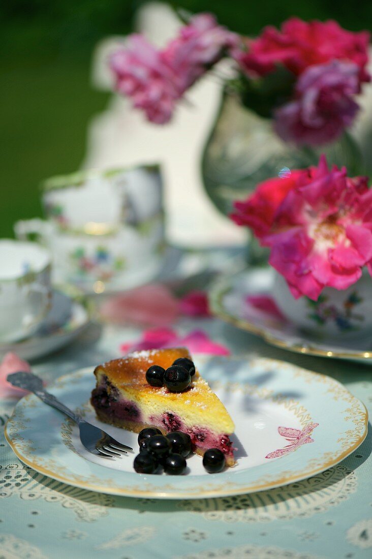 Ein Stück Käsekuchen mit schwarzen Johannisbeeren auf Gartentisch