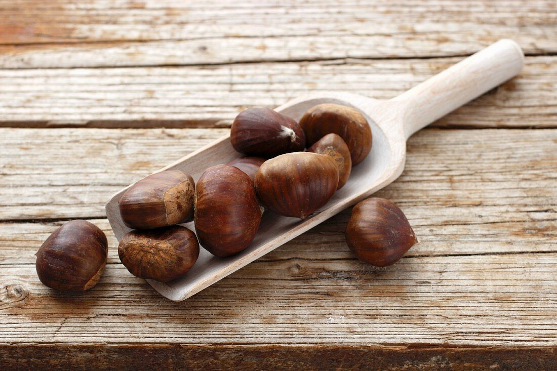 Chestnuts on a scoop