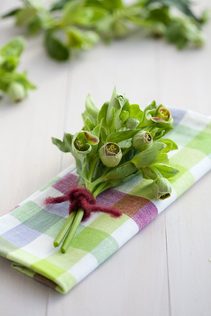 Hellebores on checked linen napkin