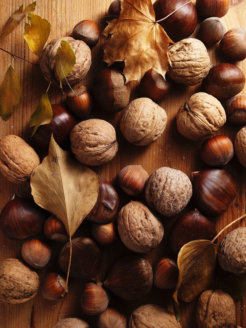 Chestnuts, hazelnuts, walnuts and autumnal leaves