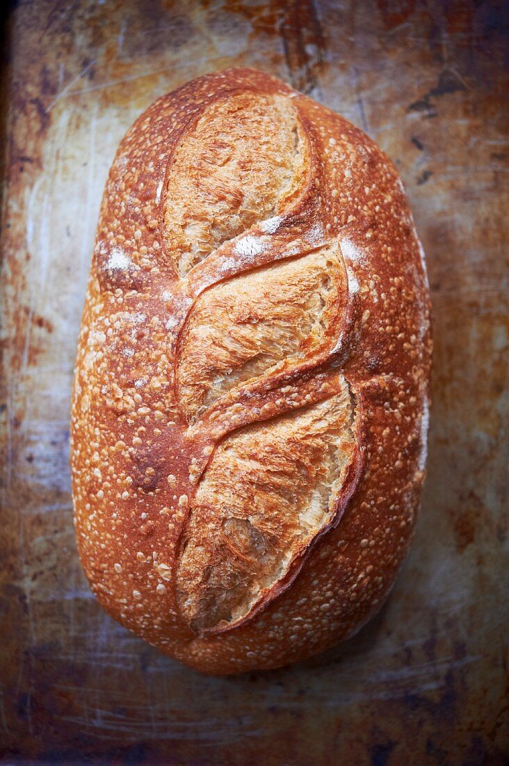 Whole Loaf of Country Bread; From Above