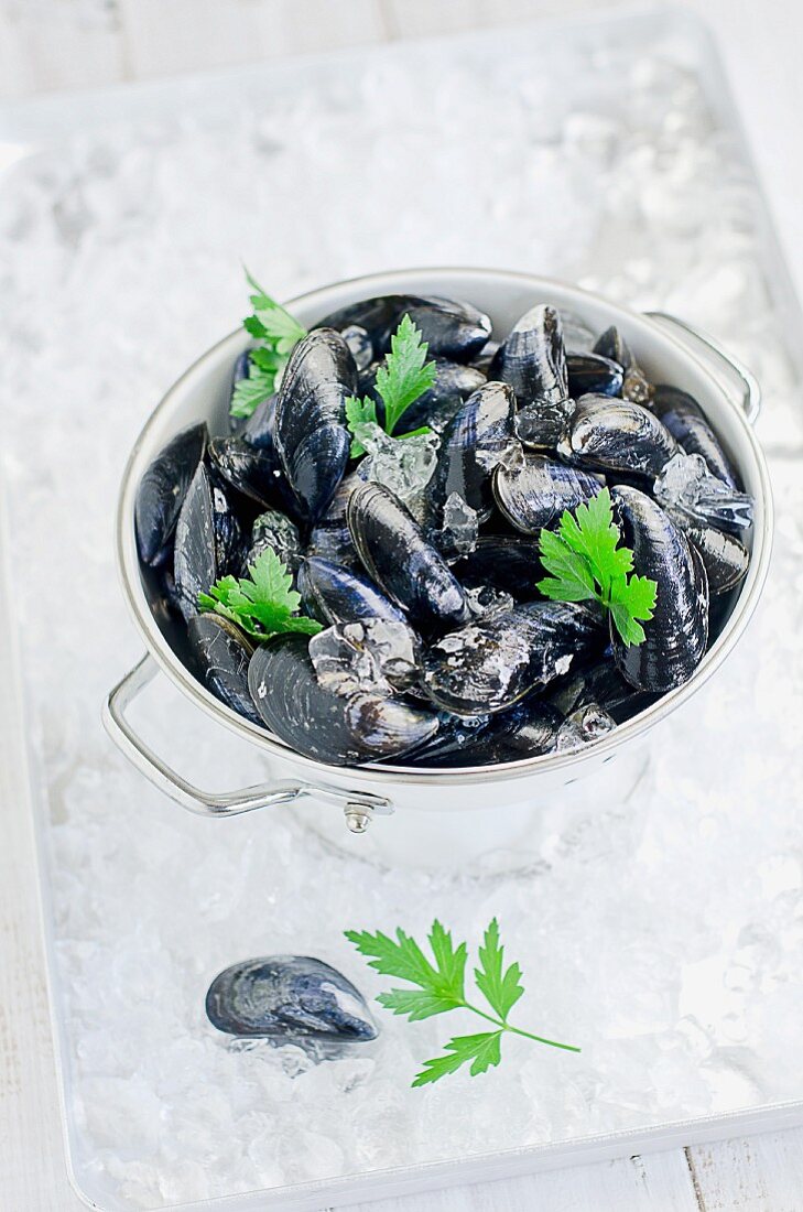 Fresh mussels in a pot