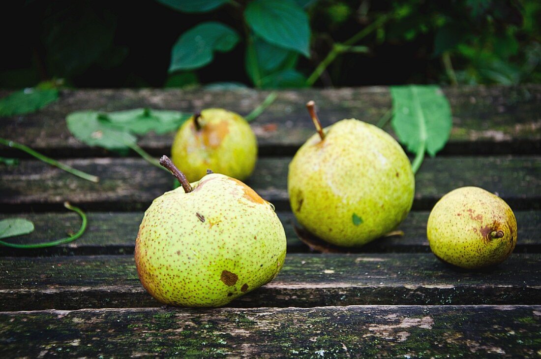 Pears on a weathered wooden table