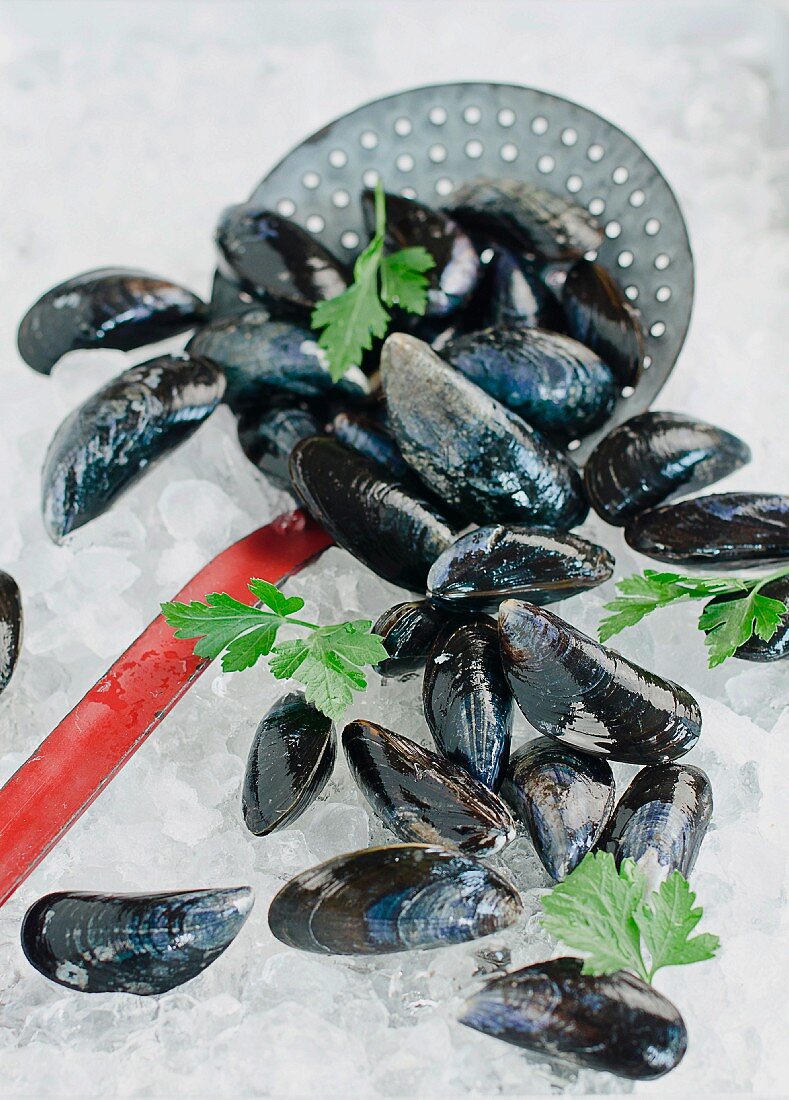 Fresh mussels with a draining spoon