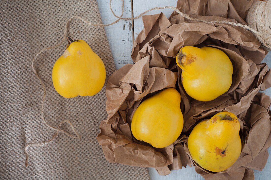 Quinces on brown paper