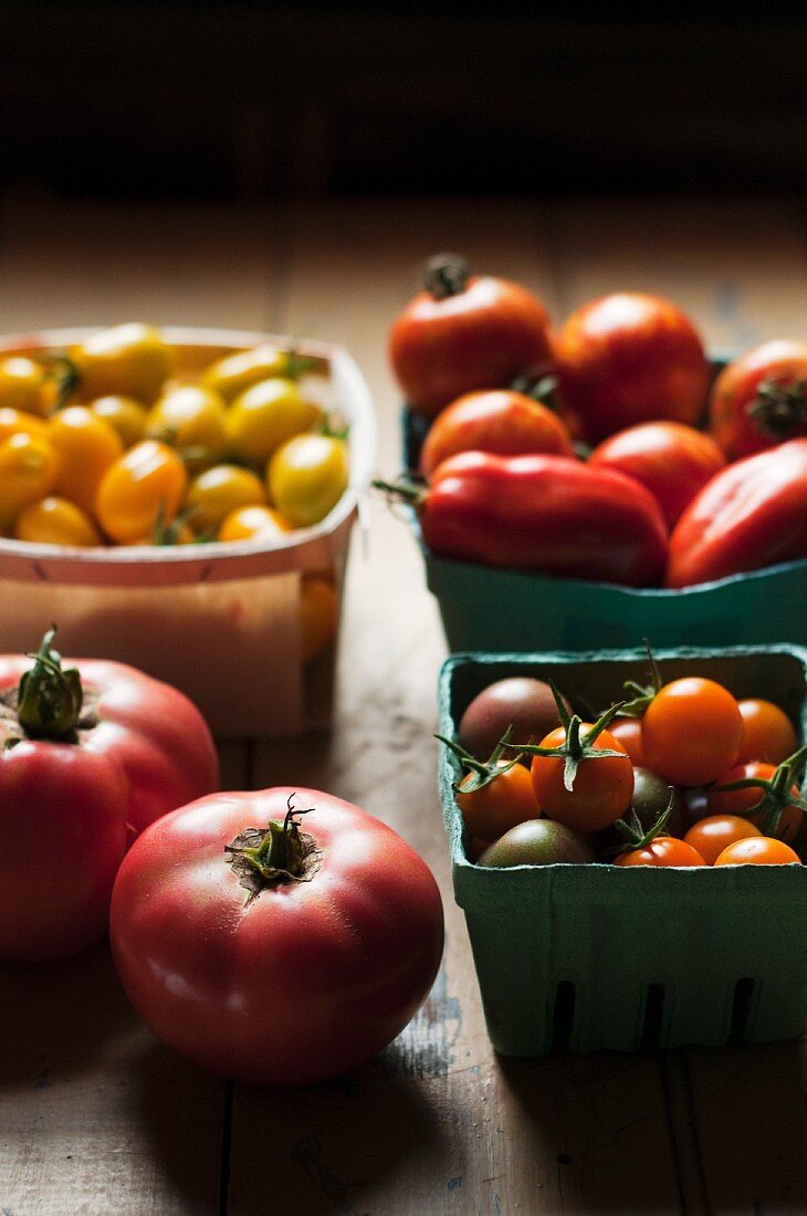 A Variety of Freshly Picked Tomatoes in Containers Including Sungolds, Plum, Grape, and Pink Lady