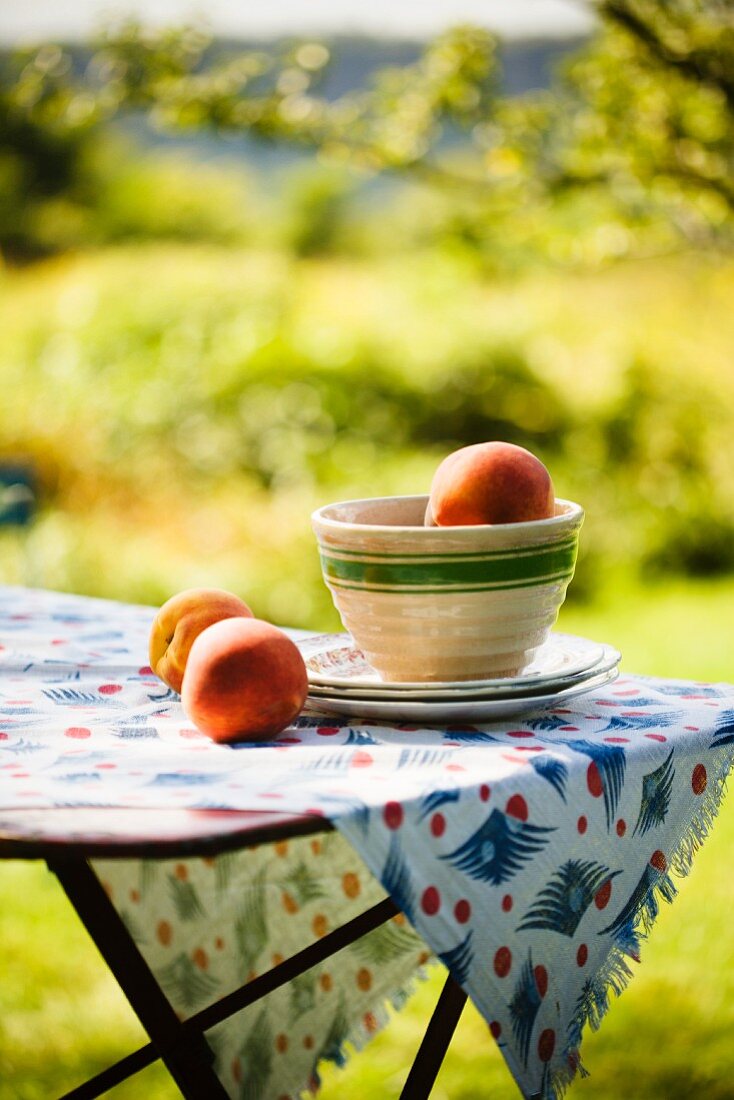 Pfirsiche in einer Schale und daneben auf Gartentisch