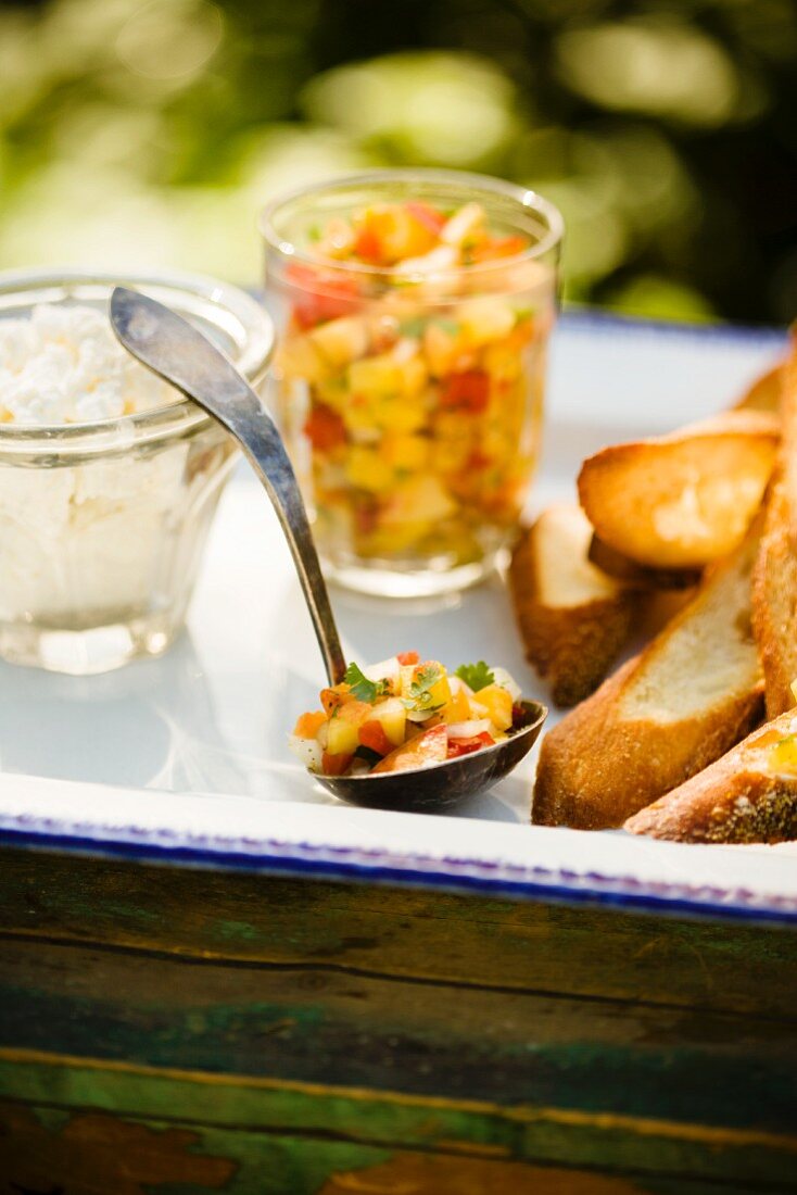 Ladle and Jar of Peach Salsa with Slices of Toasted Bread on a Tray on an Outdoor Table