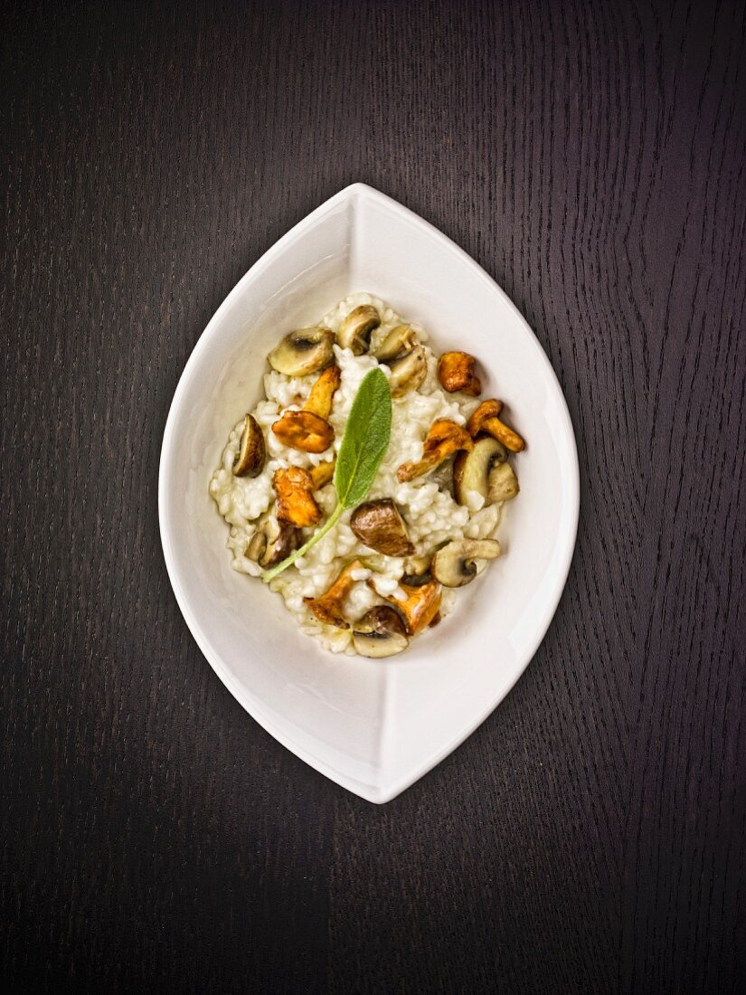 Mushroom risotto with chanterelles, porcini mushrooms and sage