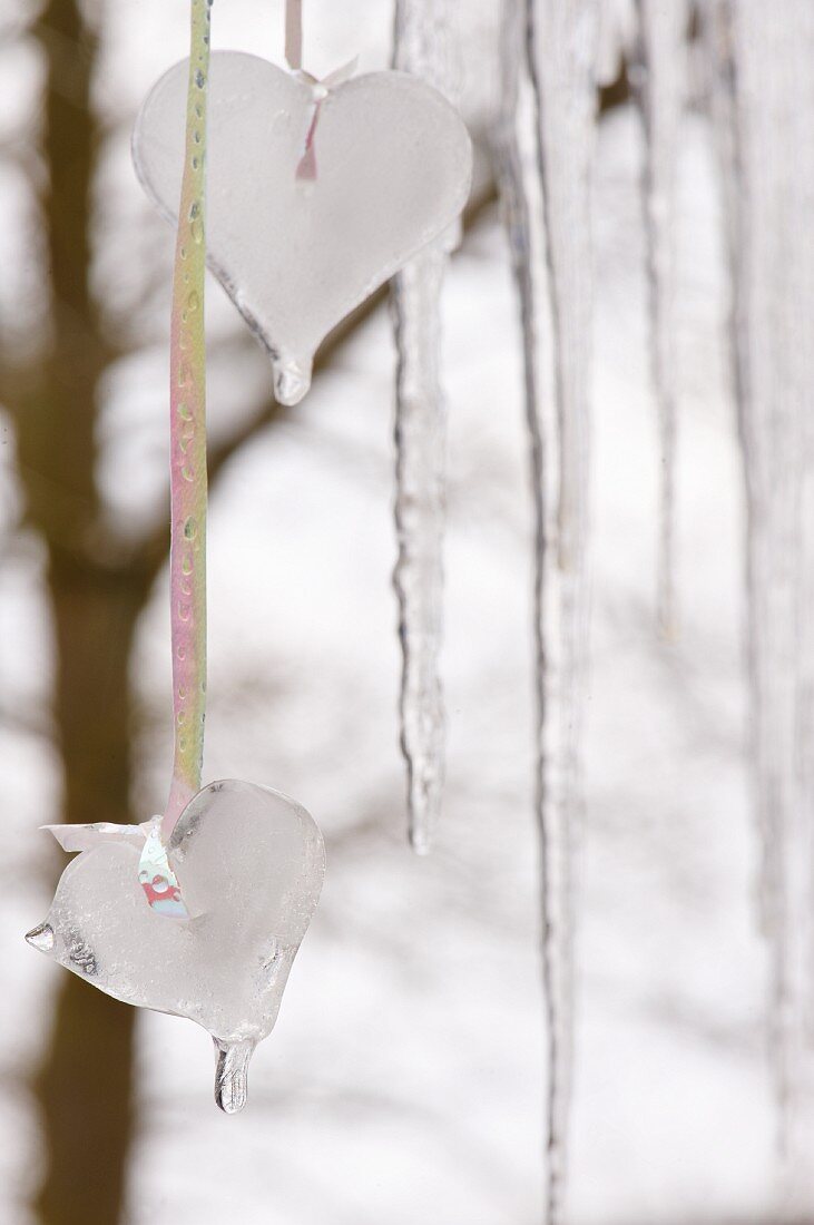 Winterdeko: in Backformen werden Herzen aus Eis hergestellt und draußen vor dem Fenster aufgehängt
