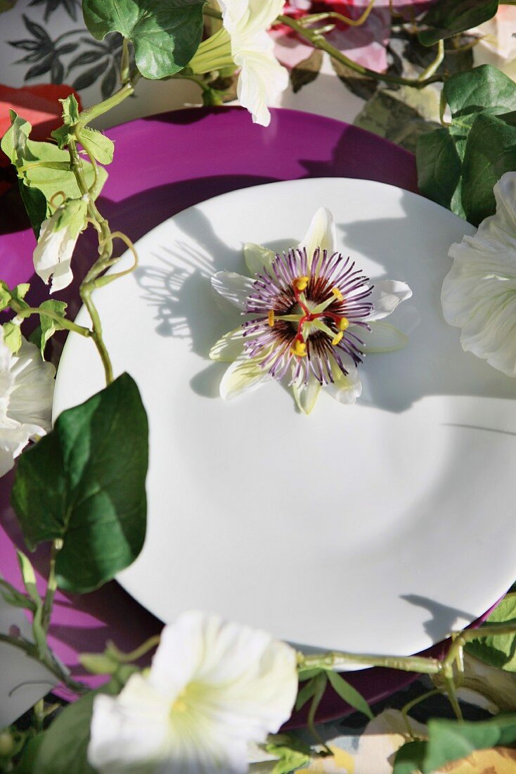 Plate decorated with flower