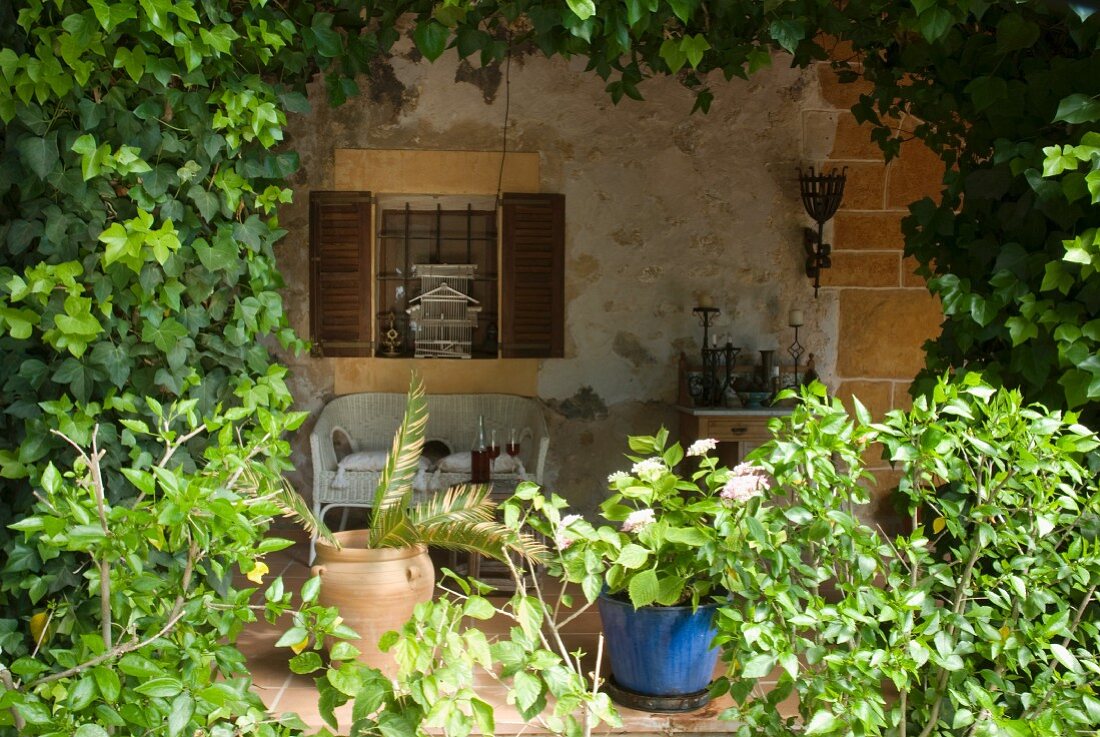 A view from a garden of a bench against the wall of a Mediterranean house made of natural stone with a vine-clad pergola