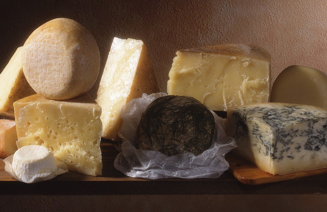 A still life of Italian cheeses