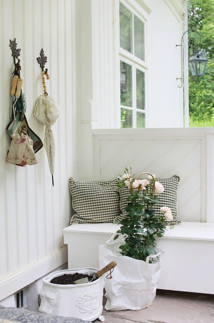 Sheltered seating area on veranda - wooden bench, rose plant and nostalgic planter filled with compost